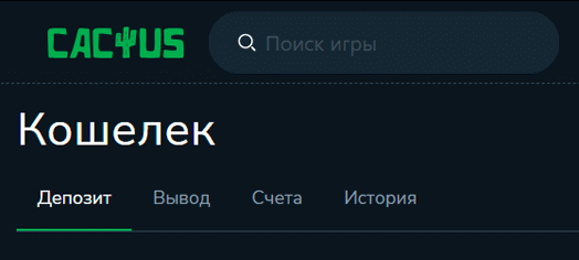 Кошелек в личном профиле Cactus Casino Кошелек в личном профиле Cactus Casino